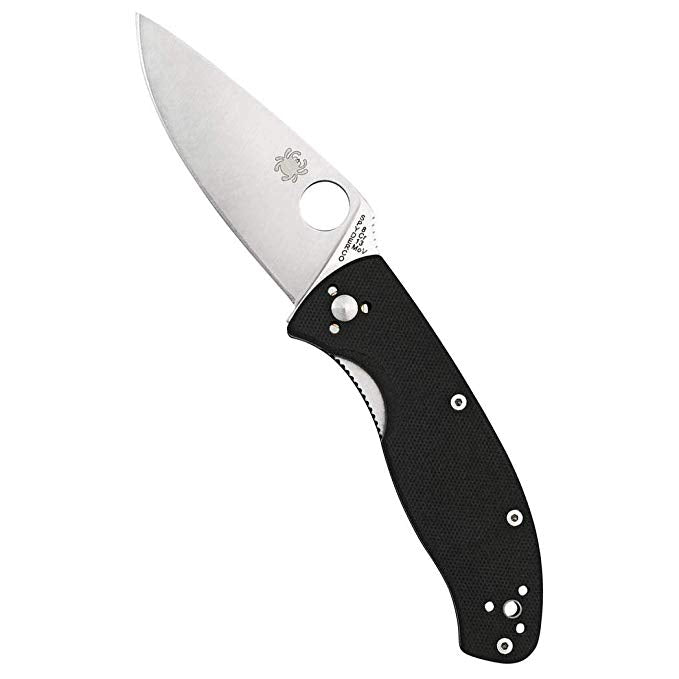 Spyderco Tenacious  C122GP Folding Knife - Plain