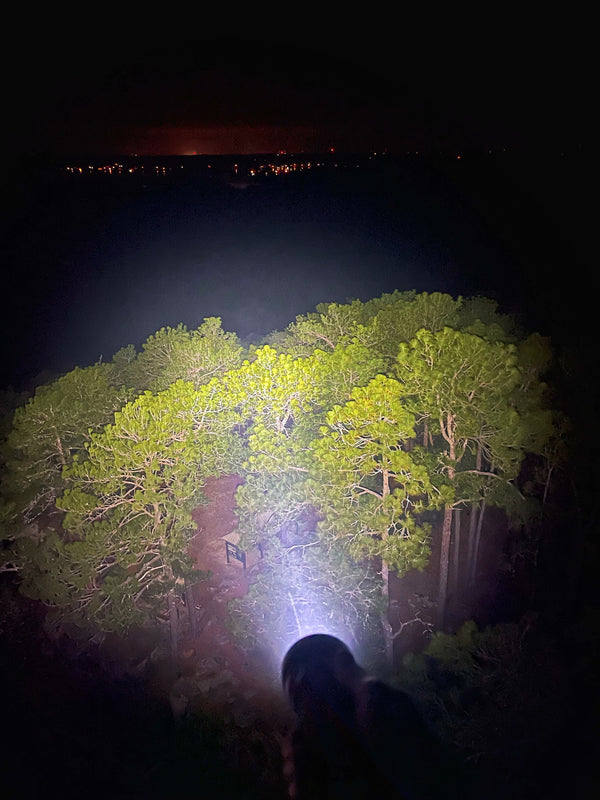 Southeast Adventures: Mountains, Caves, and Coastal Wilderness