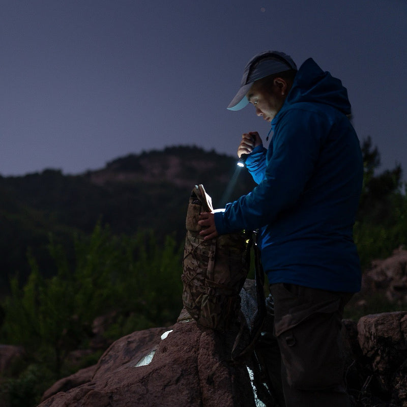 Southwest Desert Adventures: Arizona, New Mexico, and Nevada