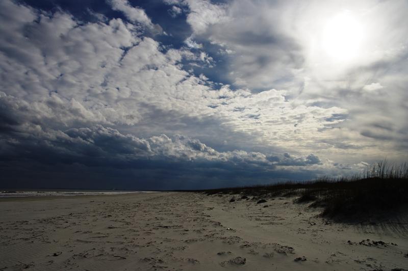 Trip Report – Cumberland Island, GA