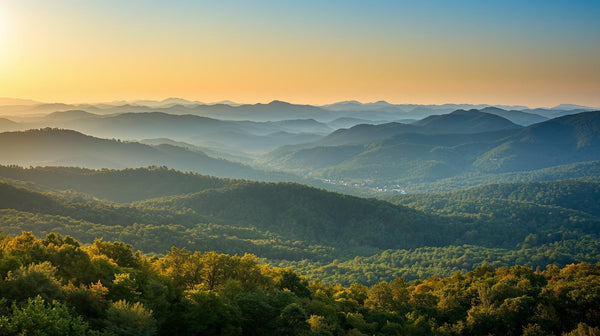 Mountain Adventures in North Georgia's Blue Ridge