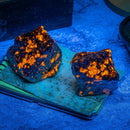 Weltool M4-365 "Blue Faced Beast" – High Power 365nm UV Flashlight | Professional 21700 Battery Light