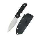 DreamTech D3019GB front view – 4.25" satin D2 drop point fixed blade, black G10 handle, Kydex sheath