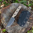 HX OUTDOORS Maverick D-354B – 2.95" Titanium Coated Fixed Blade Knife with Gray G10 Handle