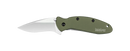 Kershaw Ken Onion Scallion SpeedSafe Assisted Flipper Folding Knife - 1620OL Aluminum OD