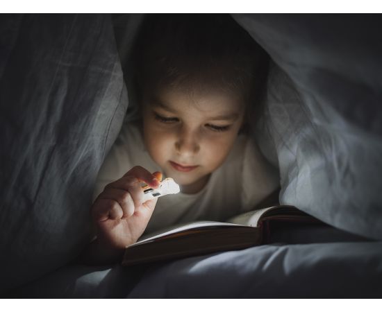 Armytek Zippy Extended Set Grey / 160 lm / 60Â°:110Â° / headmount / magnet / IP67 / built-in Li-Pol battery