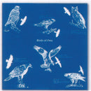 Birds of Prey Cotton Bandana