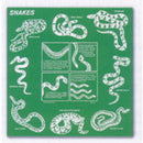 Snakes Cotton Bandana