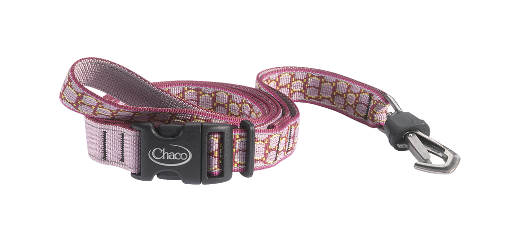 Chaco Dog Leash