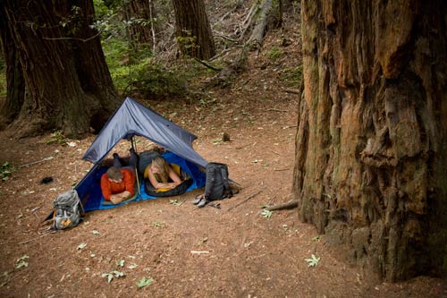 Grand Trunk Funky Forest Tarp
