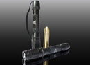 ITP Light C8R 2 X AA CREE LED Flashlight
