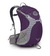 Osprey Sirrus 24 Womens Small Backpack - Amethyst