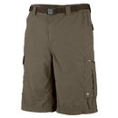 Columbia Men's Silver Ridge Cargo Short (10 Inch Inseam)