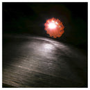 WAGAN FRED LIGHT FLASHING ROADSIDE EMERGENCY DISK